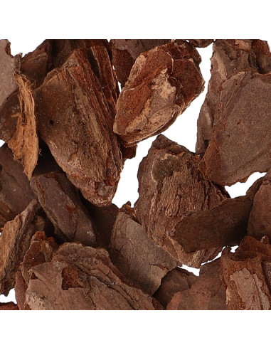 Kit de Diorama COHEALI - Material de Corteza de Árbol 20x12cm