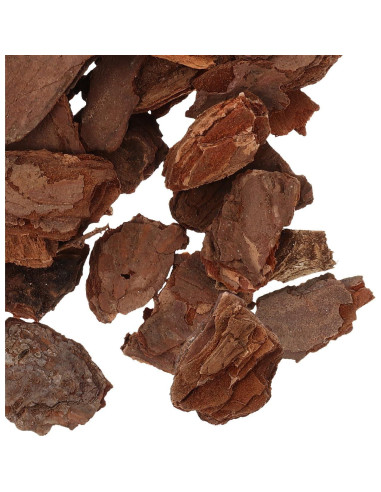 Kit de Diorama COHEALI - Material de Corteza de Árbol 20x12cm