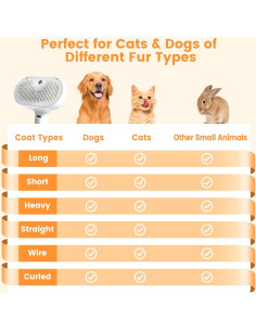 Cepillo de vapor para gatos FourSeas 3 en 1 con spray 2