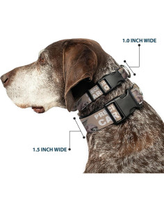Collar para Perro Star Wars Buckle-Down 17.78-21.59 cm 2