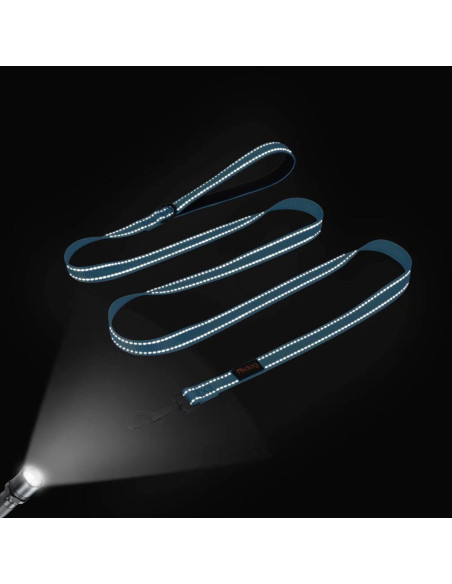 Correa Reflectante Didog de Nylon 182 cm con Dispensador Azul