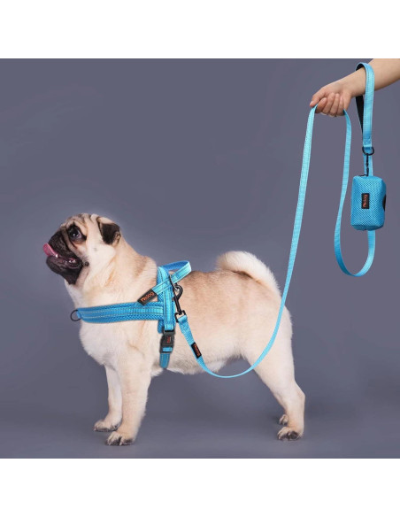 Correa Reflectante Didog de Nylon 182 cm con Dispensador Azul
