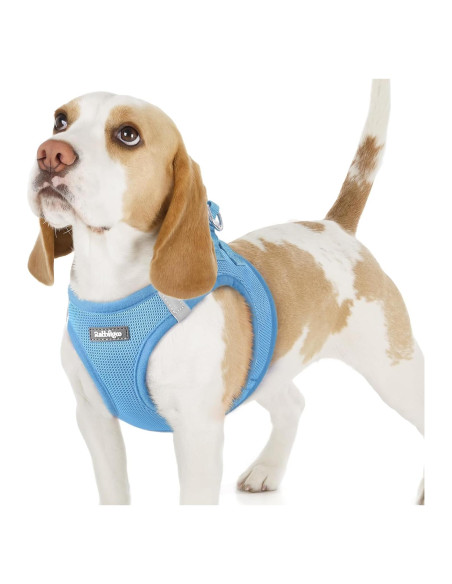 Arnés para Perros Pequeños Rabbitgoo Azul M Transpirable