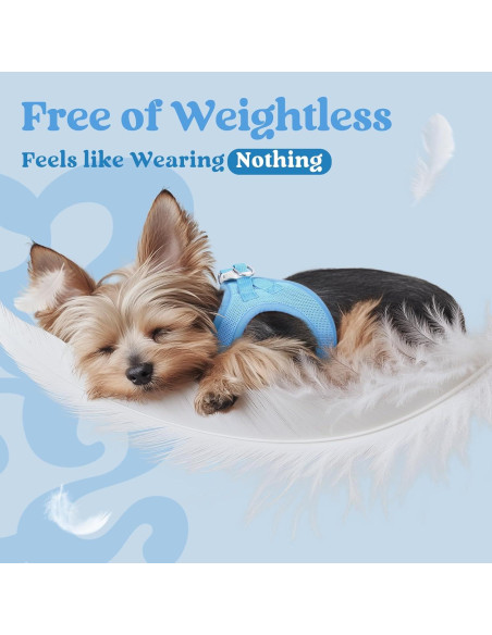 Arnés para Perros Pequeños Rabbitgoo Azul M Transpirable