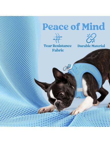 Arnés para Perros Pequeños Rabbitgoo Azul M Transpirable