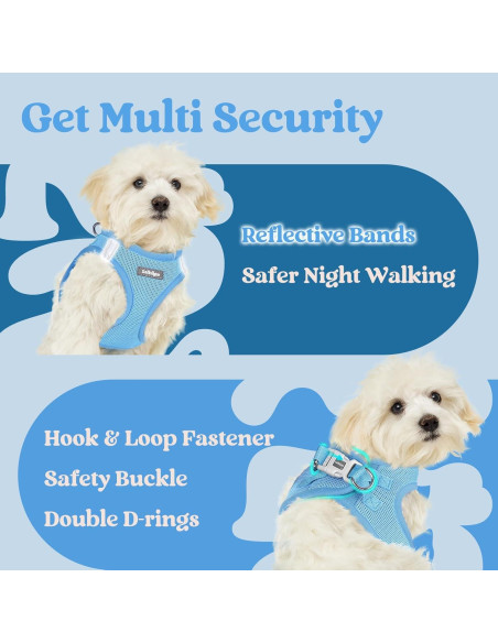 Arnés para Perros Pequeños Rabbitgoo Azul M Transpirable