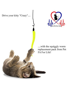 Recarga Juguetes para Gatos Pet Fit For Life 5 Piezas 2
