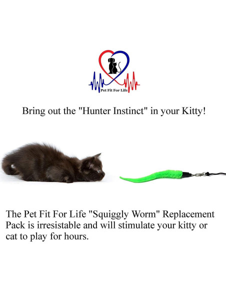 Recarga Juguetes para Gatos Pet Fit For Life 5 Piezas Recarga Juguetes para Gatos Pet Fit For Life 5 Piezas