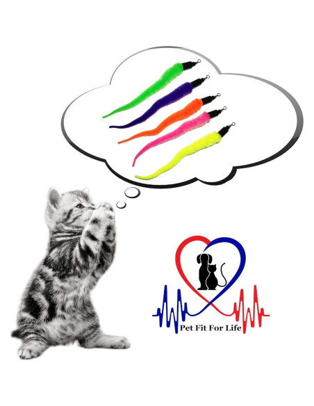 Recarga Juguetes para Gatos Pet Fit For Life 5 Piezas Recarga Juguetes para Gatos Pet Fit For Life 5 Piezas