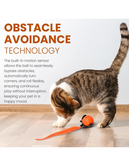 Bola de Juguete Interactiva para Gatos ROUCITO 5 cm