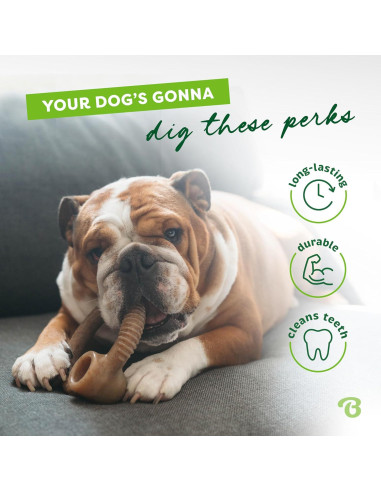 Benebone Anillo Masticable Duradero para Perros Mediano Tocino