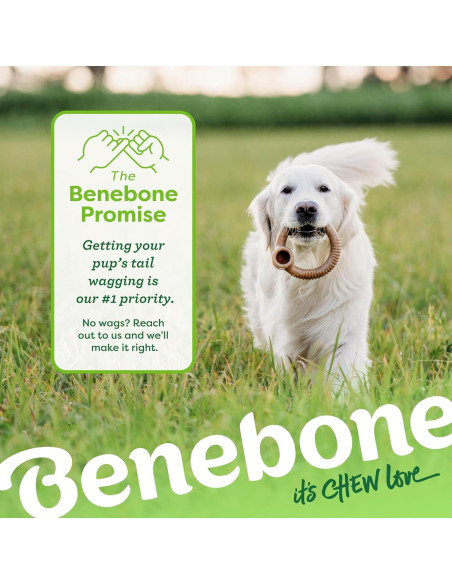 Benebone Anillo Masticable Duradero para Perros Mediano Tocino