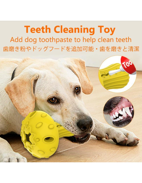 Juguete para Perros SCHITEC Dispensador de Golosinas 12,95 cm