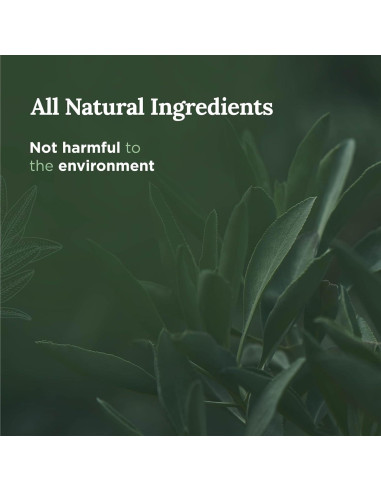 Vela de Aromaterapia Sanación Magnífica 101 - 170g 35h