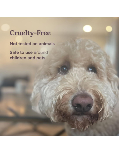 Vela de Aromaterapia Sanación Magnífica 101 - 170g 35h