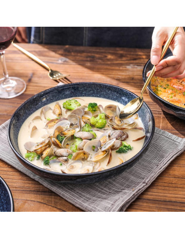 Set de 4 Cuencos de Porcelana Vicrays 25,4 cm Azul