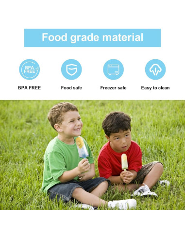 Moldes de Silicona para Paletas LANSKYWARE 8 Piezas