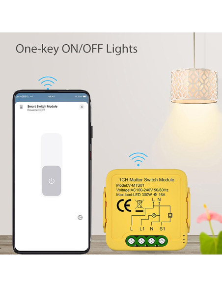Módulo Interruptor Inteligente Matter 2 Gang - Control Remoto