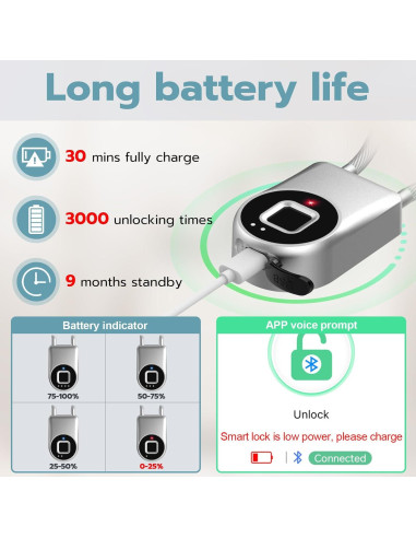 Candado Biométrico Dhiedas P2C 6" Plata Bluetooth