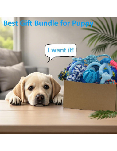 Paquete de 20 Juguetes para Cachorros Beiker - Goma y Cuerda