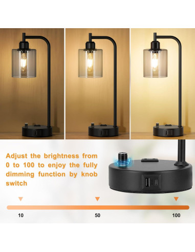 Set de 2 Lámparas de Escritorio Regulables Innqoo con USB