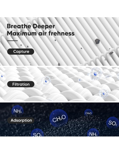 Filtro de Reemplazo H13 para Purificador LEVOIT Core 300 - 2 Unidades