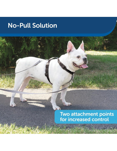 Arnés PetSafe 3 en 1 Ajustable Pequeño Negro con Correa