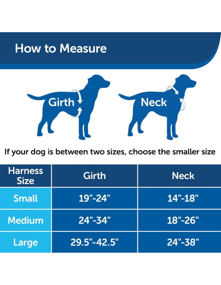 Arnés PetSafe 3 en 1 Ajustable Pequeño Negro con Correa