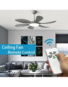 Control Remoto para Ventilador de Techo WN 53T+R28 Regulable 2