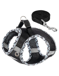 Conjunto Arnés y Correa para Perros Pequeños TomteNisse