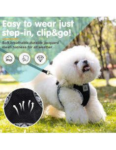 Conjunto Arnés y Correa para Perros Pequeños TomteNisse 2