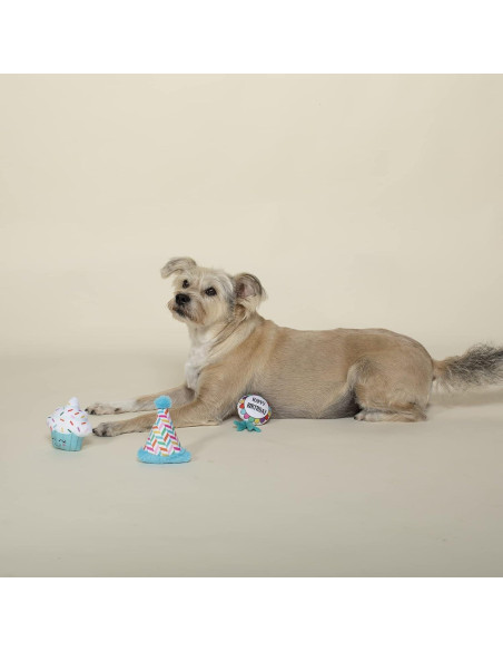 Conjunto de Juguetes para Perro Fringe Studio Cumpleaños BARK! 3 Piezas