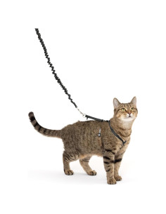 Arnés y Correa Elástica PetSafe Come With Me Kitty Pequeño Negro