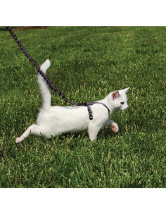 Arnés y Correa Elástica PetSafe Come With Me Kitty Pequeño Negro 2