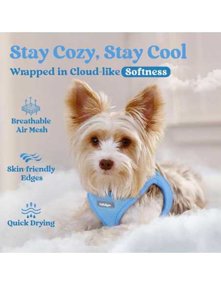 Arnés para Perros Pequeños Rabbitgoo XXXS Azul Transpirable