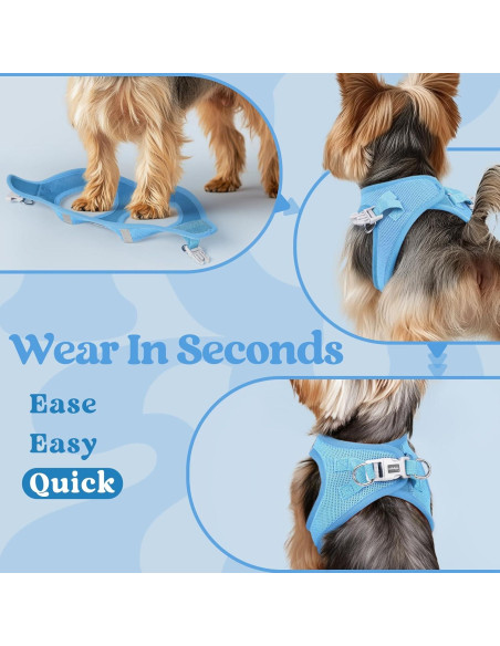 Arnés para Perros Pequeños Rabbitgoo XXXS Azul Transpirable
