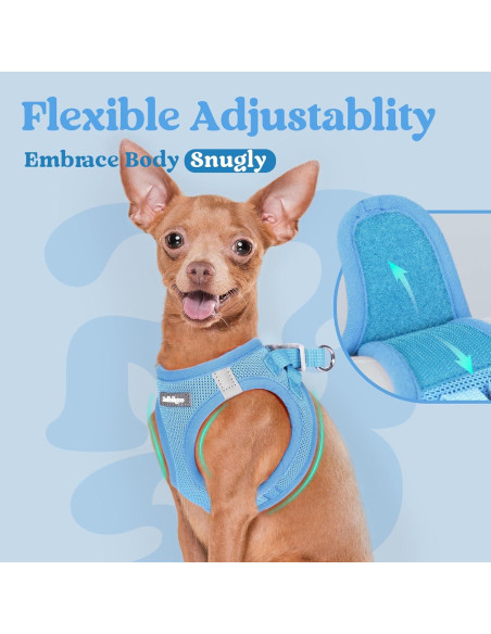 Arnés para Perros Pequeños Rabbitgoo XXXS Azul Transpirable
