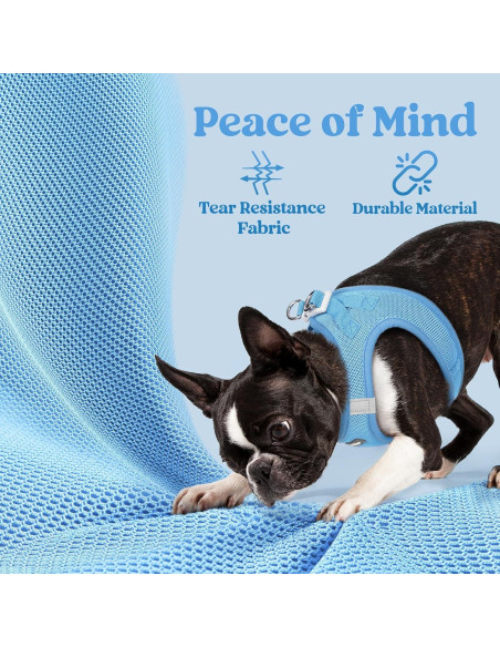 Arnés para Perros Pequeños Rabbitgoo XXXS Azul Transpirable