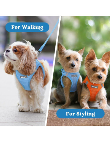 Arnés para Perros Pequeños Rabbitgoo XXXS Azul Transpirable