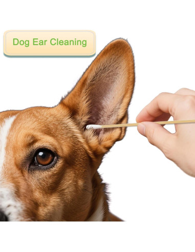 200 Bastones de Algodón Largos de Madera para Maquillaje