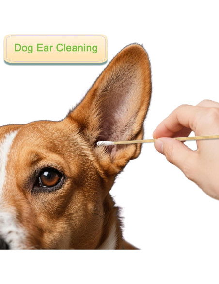 200 Bastones de Algodón Largos de Madera para Maquillaje