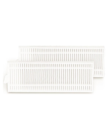 Kit de Filtro de Alta Eficiencia Coredy R500 - 2 Piezas