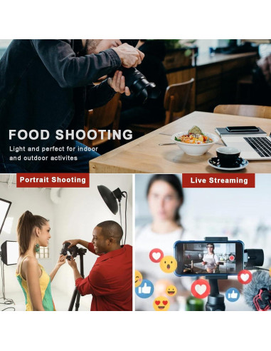 Adaptador de Montaje Lanxire L0213 con Doble Bola 2kg