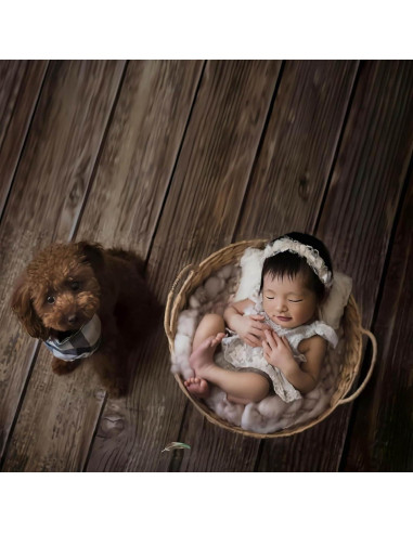 Alfombra Fotográfica de Goma Kate 2.5x1.5m Antideslizante