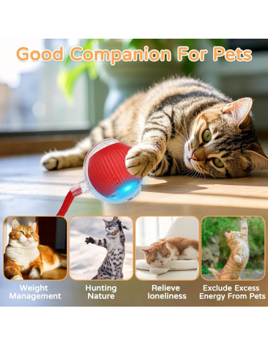 Juguete Interactivo para Gatos Goosheep 2 Pack Bola Automática