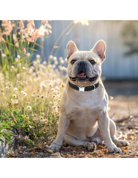 Correa de Collar para Perros ESGPET Reflectante 2 Piezas 20-61cm Correa de Collar para Perros ESGPET Reflectante 2 Piezas 20-61cm