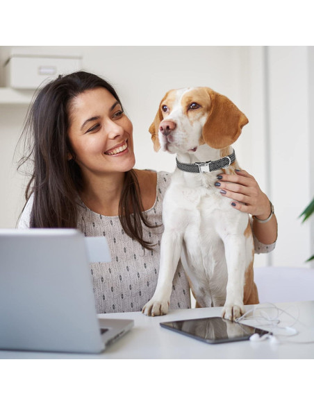 Correa de Collar para Perros ESGPET Reflectante 2 Piezas 20-61cm Correa de Collar para Perros ESGPET Reflectante 2 Piezas 20-61cm