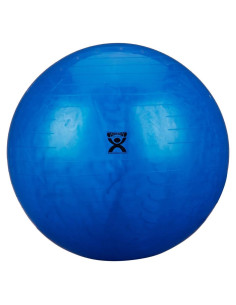 Pelota de Ejercicio Rolyan Azul 85 cm - Fitness y Rehabilitación