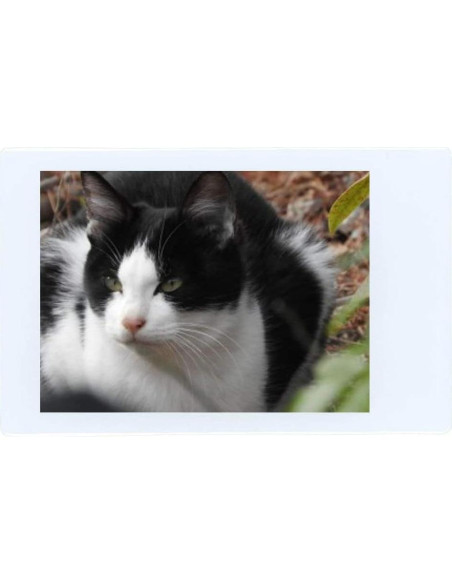 Película Instantánea Fujifilm Instax Mini 100 - 100 Fotos