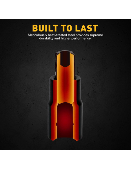 Juego de 16 Piezas Enchufe Torx ELEAD T8-T60 Acero S2